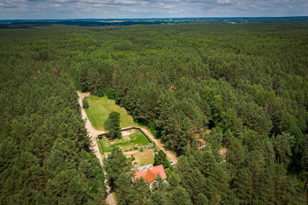 Mazurska Lesniczowka Nowy Zyzdroj Panzió Kültér fotó