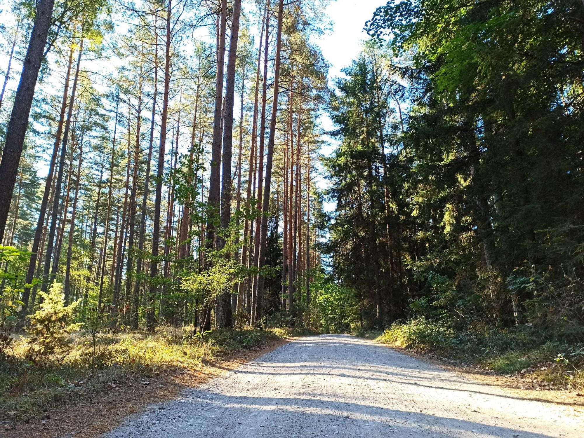 Mazurska Lesniczowka Nowy Zyzdroj Panzió Kültér fotó